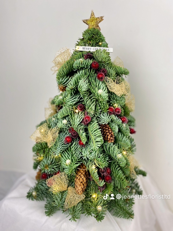 Christmas Spruce Tree's