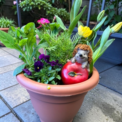 Pickle's Garden Surprise