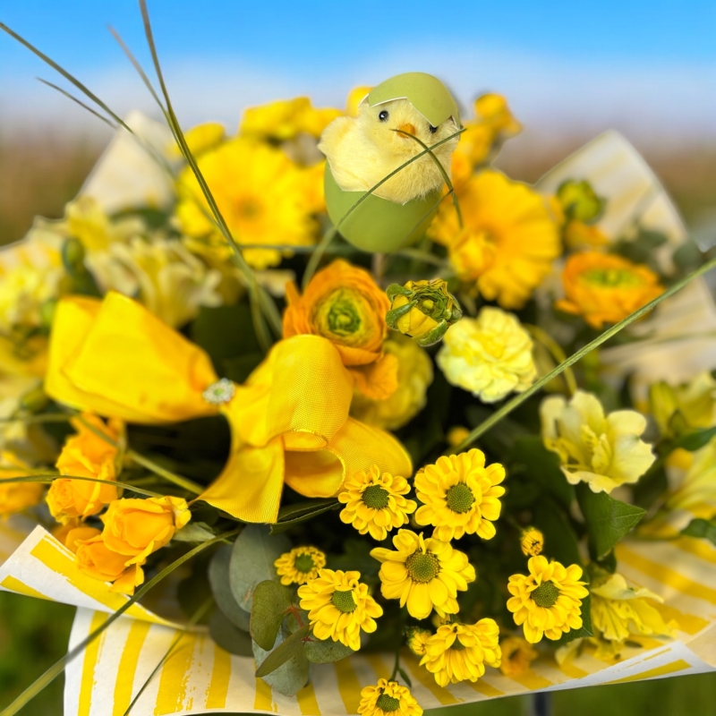 Spring Sunshine