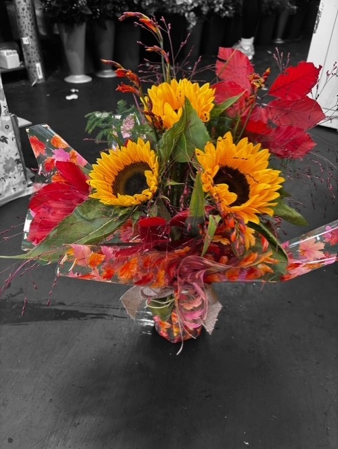 Sunflower Autumnal Glow