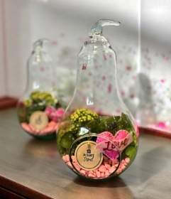 Glass Pear Terrarium