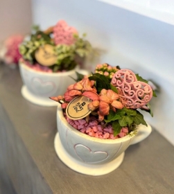 Cup of plants Teacup