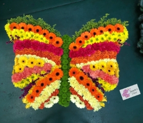 Vibrant Butterfly