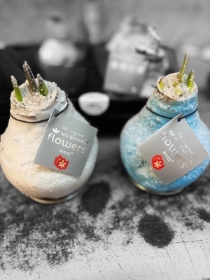 Amaryllis waxed bulbs