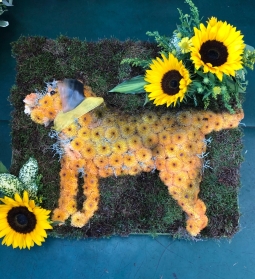 Bespoke Boarder Terrier