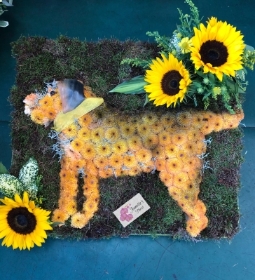 Bespoke Boarder Terrier