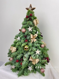 Christmas Spruce Tree's