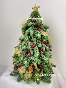 Christmas Spruce Tree's