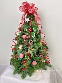 Christmas Spruce Tree's