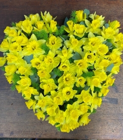 Daffodil Heart