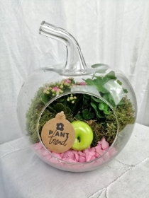 Glass Apple