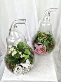 Glass Pear Terrarium