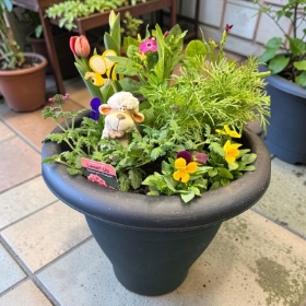 Summer Meadow Planter