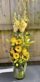 Sunburst Delux arrangement